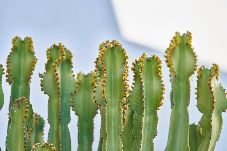 Appartamento a San Jose - Vista Calilla D 