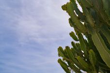 Casa en San Jose - Ricardo San José