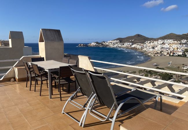  en San Jose - Palmera San José