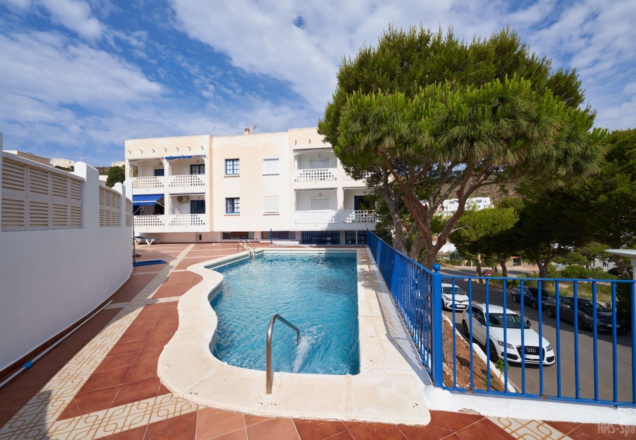 Estudio en San Jose - Tres Pinos 3