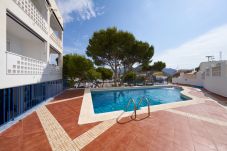 Estudio en San Jose - Tres Pinos 3