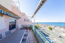 Appartement à San Jose - Marjovi San José